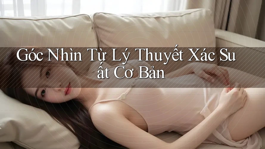 Góc Nhìn Từ Lý Thuyết Xác Suất Cơ Bản